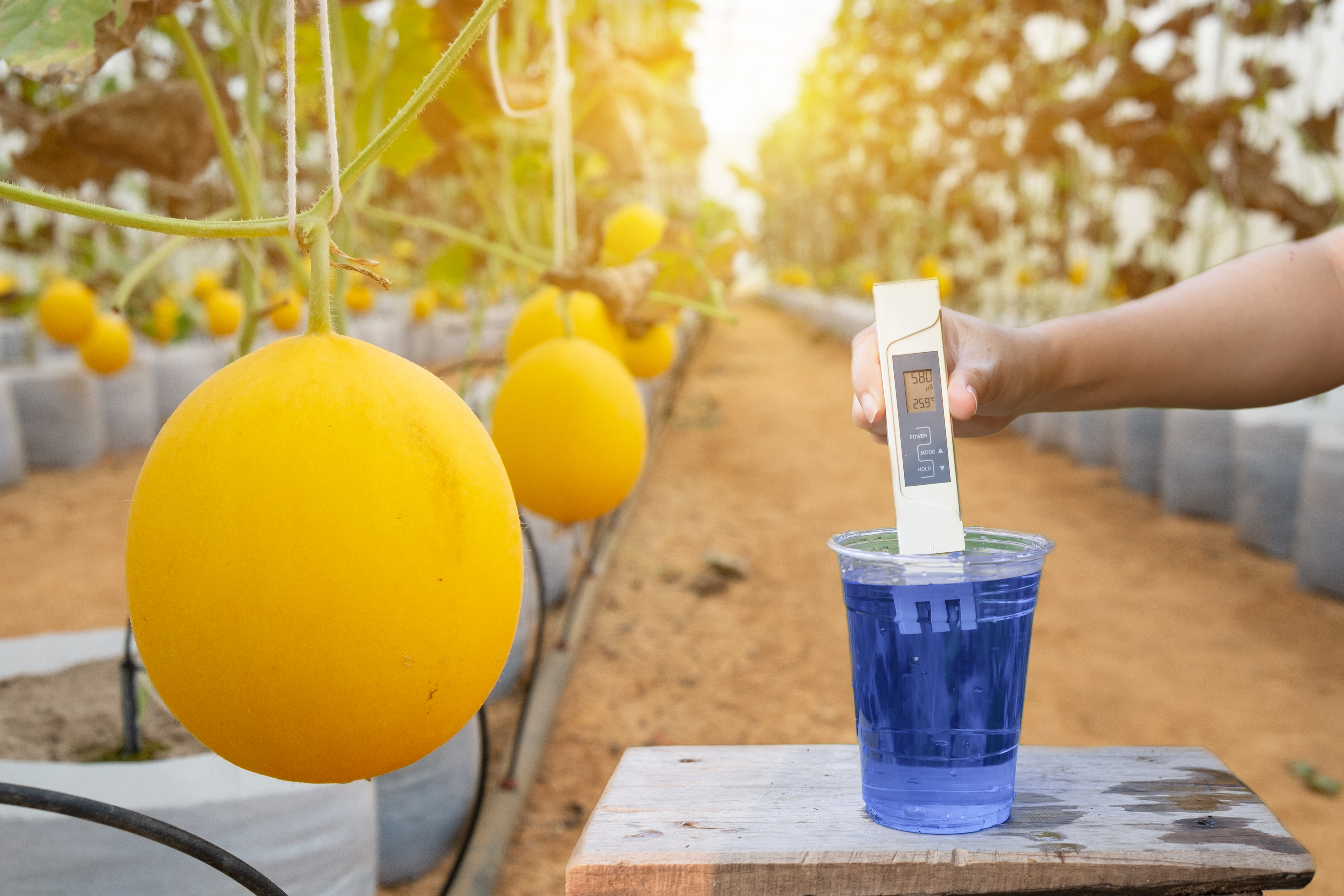 Specialty fertilizer